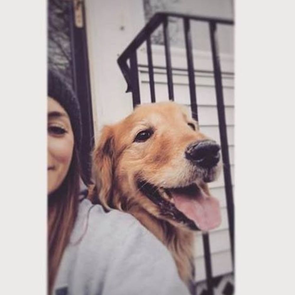 Meet your Posher, Stacy